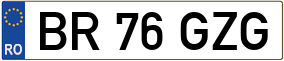 Trailer License Plate